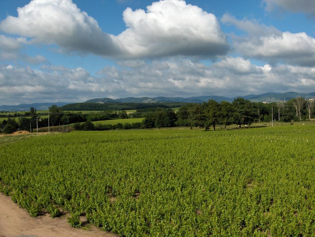 克塞利亚斯恩比约Coeur De Beaujolais公寓 外观 照片